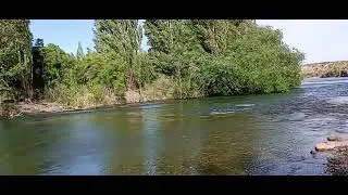 Río Negro, Argentina 2025: Aguas Cristalinas y Día de Playa Fluvial | Patagonia Secreta