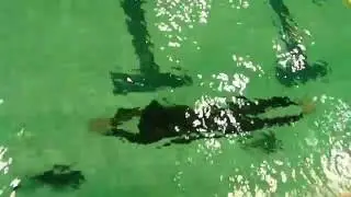 Vedran Cvija CMAS DNF 100m - 12. Submania Apnea Cup