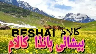 Beshai Banda kalam