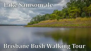 Brisbane Bush Walking Tour - Lake Samsonvale