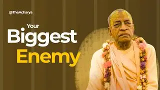 Love Misplaced, Love Restored | SB 1.14.44 | New York | Srila Prabhupada