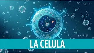 LA C&Eacute;LULA  Procariota  Eucariota, Tipos, Partes, C&oacute;mo se origin&oacute; la vida. Ejemplos