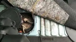 Как слить бензин из бака автомобиля