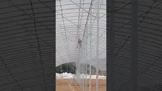 #greenhouse  multi-span greenhouse  single span high tunnel tomato plastic agricultural greenhouse