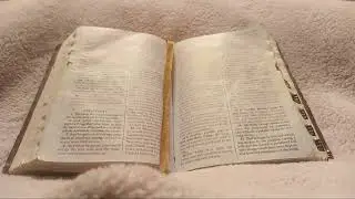 Awaken us the chruch from spiritual sleep.
