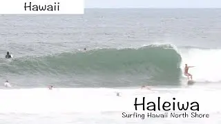 ハワイ・ノースショアでサーフィン！ 比較的優しめな２月のハレイワの波 / Surfing Hawaii North Shore Haleiwa