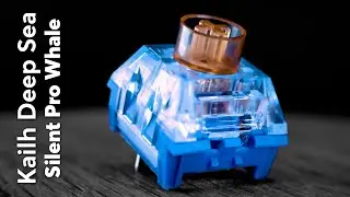 Kailh BOX Deep Sea Silent Pro Whale Switch | Quietest Silent Switch?