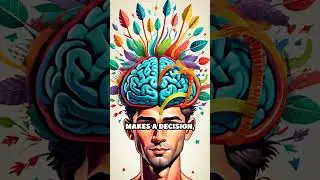 How Fast Can Your Brain React?
