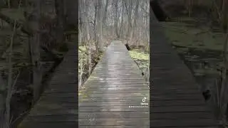 Backpacking camping trip in the back woods of Michigan
