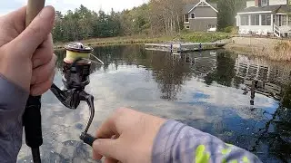 First Tourney of the YEAR! Island Pond, Slay Nation Event #1, 2025