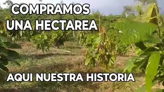 Nuestros Proyectos, Nos Compramos Una Hectárea Luchando Juntos Mi Esposa Y Yo