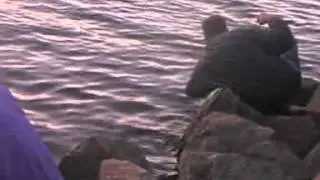 Diverse aktiviteter   SeaAction AS