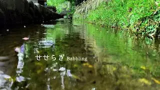 ４K【日本の自然音】せせらぎ／心理カウンセラーが薦める癒し整う  自然 癒しストレス解消 japanese nature