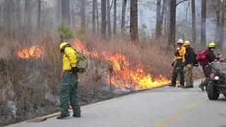 Prescribed Fire in Georgia