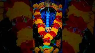 29 very#special#day#maha#panchami ❤️🥰🌹