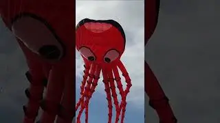 Just a big octopus flying through the sky!  #kite #kiteflying #kitefestival #beach #outdoors