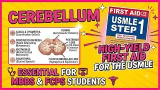 Объяснение ножек мозжечка и поражений мозжечка | MBBS FCPS USMLE | SK SERIES