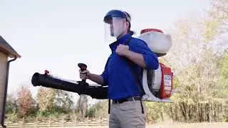 Professional Pest Control Services in Fayette & Coweta Counties