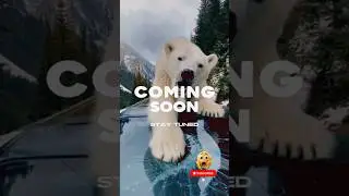 &ldquo;😱🐻&zwj;❄️ POLAR BEAR ATTACKS TOURIST CAR &mdash; HEART-STOPPING MOMENT!&rdquo; #shorts #trending #ytshorts #viral