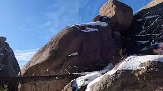 Noddle Heads, Pike National Forest, Colorado