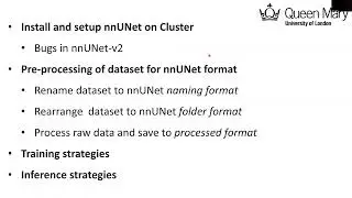 nnUNet v2 series- installation, training and inference  on cluster