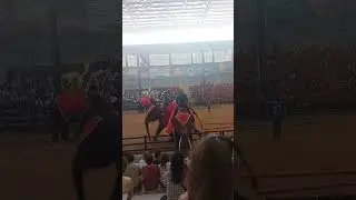 Боулинг по-тайски: слон vs кегли Что скрывает шоу слонов в Nong Nooch? Правда о жизни  слонов