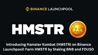 BINANCE NEW LAUNCHPOOL HMSTR ! Farm HMSTR by Staking BNB and FDUSD | HMSTR Super Earn!