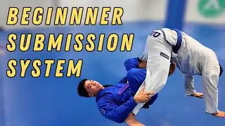 Best submission system for beginners | Arm-Lock