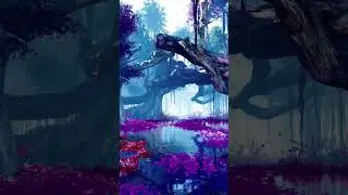 Alex Surkoff - Ecuador