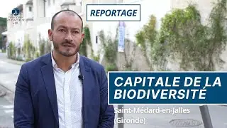 🌿Saint-Médard-en-Jalles : les secrets de la 