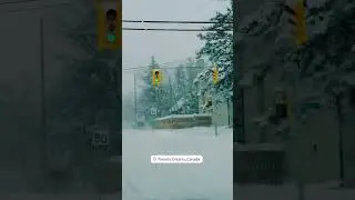 #snow #snowstorm #toronto #trending #shorts #short #weather #travel #delhi #india #bihar #love #cute