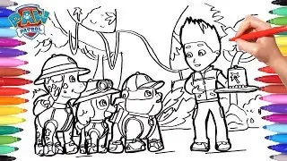 PAW PATROL Jungle ubble Skye Marshall and Ryder Coloring Pages | Paw Patrol Coloring Pages for Kids