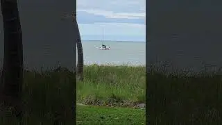 Townsville #beach #nature #beachday #summer #fishing #beach # catamaran# sea creature