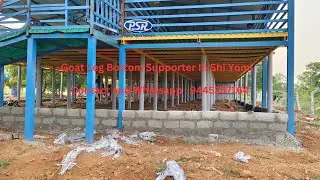 Goat Leg Bottom Supporter In Shi Yomi  In Arunachal Pradesh | Contact : 9445257164