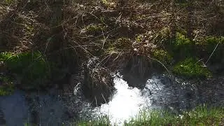 Hike! Een wandeling over de venen bij Vriezenveen
