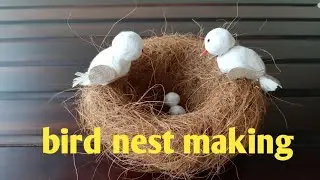 DIY Birds Nest Making Idea |DIY Bird House|Bird Showpiece Hanging |Wall Hanging Craft Ideas