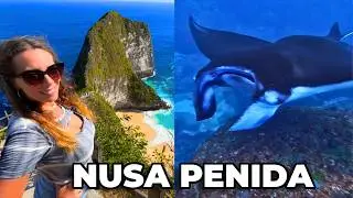 Nadamos con la MANTARRAYA más GRANDE del MUNDO en INDONESIA 🇮🇩