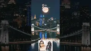 #officialchannel #music #hiphopvibe Saturday night party song #Englishsong #duet #officialchannel