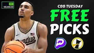 BEST CBB TUESDAY PRIZEPICKS TODAY (4 FREE PICKS✅) | PLAYER PROPS & PREDICTIONS February 17th #cbb