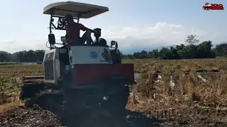 TRAKTOR SAWAH CRAWLER MAXXI BIMO ROTA 100 DI LAHAN BEKAS KOMBI