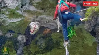 How to Harvest Wild Honey on Cliff Walls with Bare Hands &ndash; An Unbelievable Scene