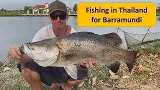 Lure fishing for Asian sea bass / Barramundi at Mongkhon fishing park. Fishing in Thailand.