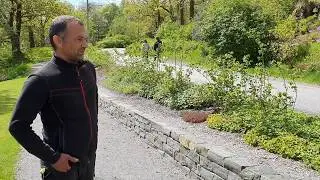 Mai 2020, p&aring; Rosariet i Arboretet, Bergen Universitetshagene