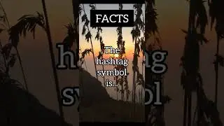 Fun facts hashtag symbol #shorts #yputubeshorts