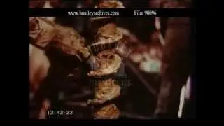 Indonesian Logging, 1970's -- Film 90096