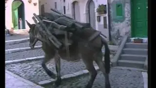 RENDINARA FRAMMENTI