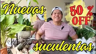 NUEVAS SUCULENTAS, que le compre a Verania Torres con 50% de descuento
