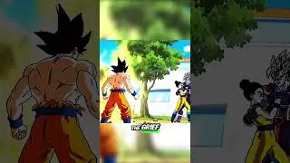 Goku becomes the new omni king after chichi death