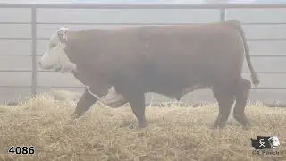 4086