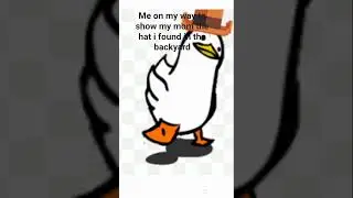 We be agrivating them over anything #memes